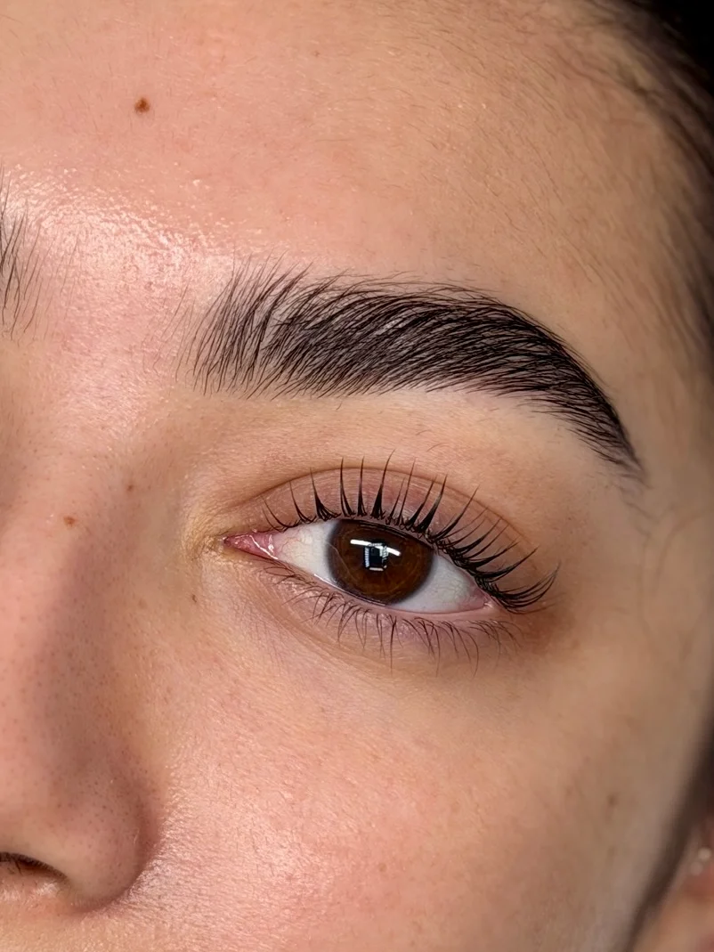 Diseño y Laminado de Cejas